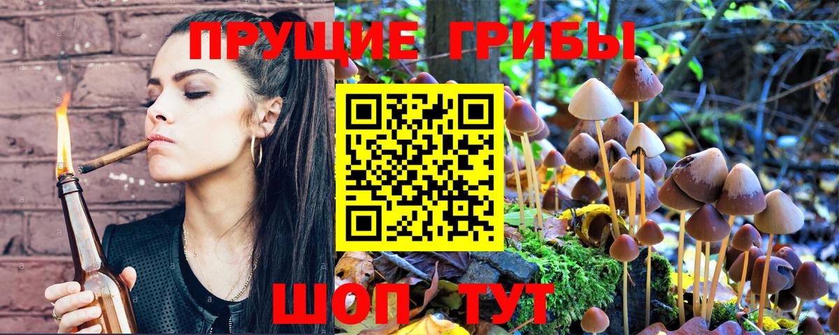 Галлюциногенные грибы GOLDEN TEACHER  Вход с VPN  Строитель  Псилоцибиновые грибы Psilocybine cubensis 
